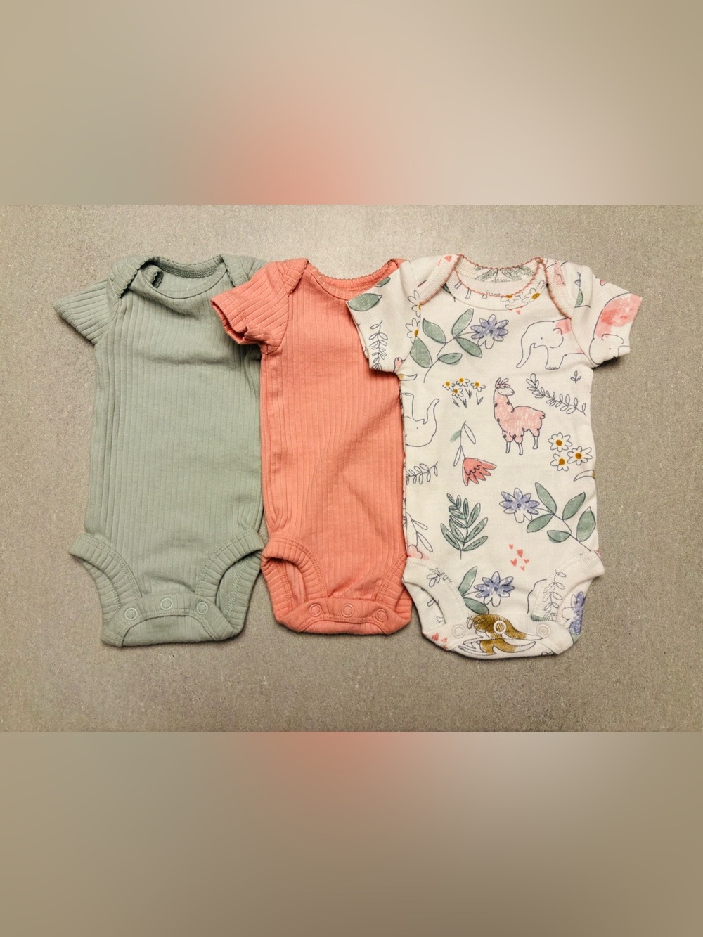 Carter’s Bundle